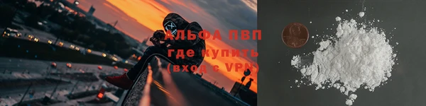 СК Алексин